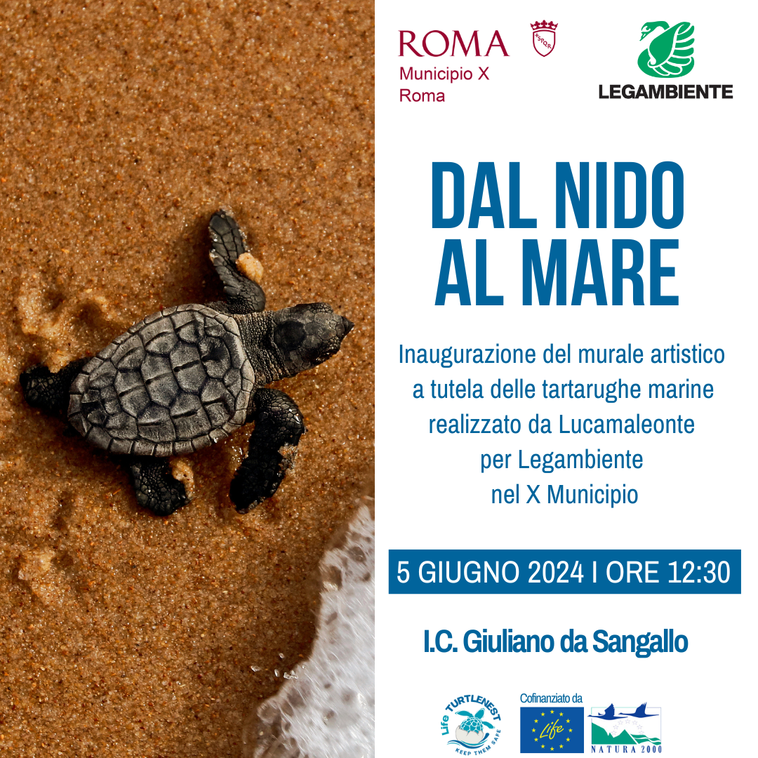 Dal Nido Al Mare A Ostia Linaugurazione Del Murale Di Lucamaleonte