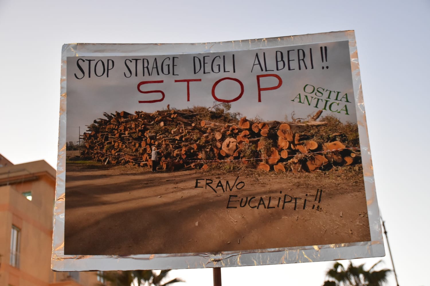 Marcia Per Gli Alberi A Ostia La Richiesta Gli Alberi Vanno Curati