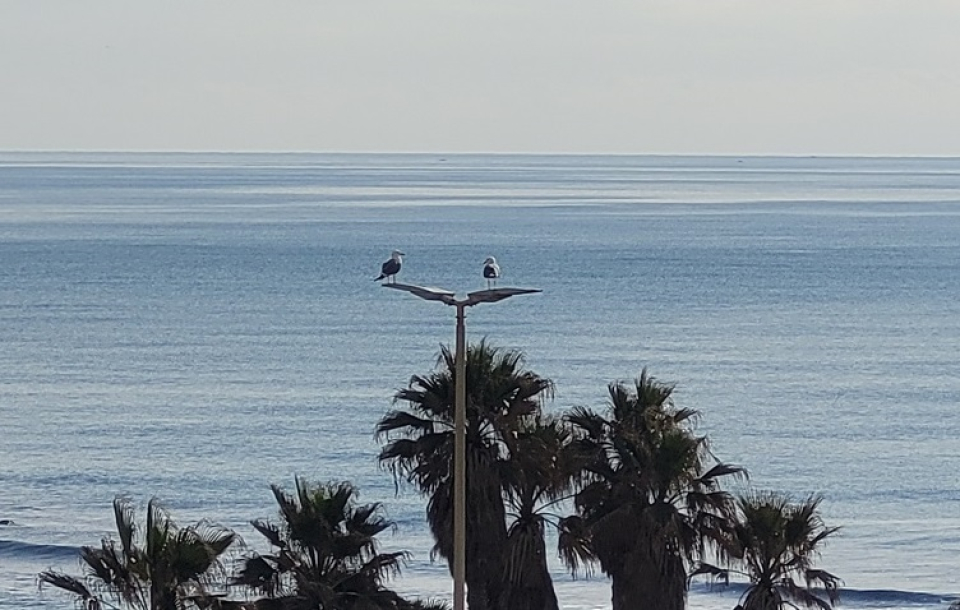 Il mare di Ostia (foto Silvia Tocci)