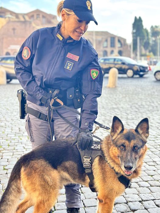 Il cane poliziotto Eviva